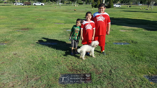 Cemetery «San Fernando Mission Catholic Cemetery», reviews and photos, 11160 Stranwood Ave, Mission Hills, CA 91345, USA