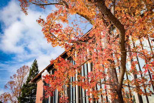 College «Sacramento City College», reviews and photos