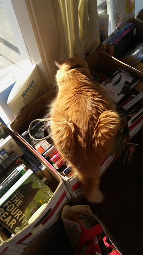 Book Store «Recycle Bookstore West», reviews and photos, 275 E Campbell Ave, Campbell, CA 95008, USA