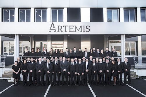 ARTEMIS GROUP Agence Hauts-de-France à Noyelles-sous-Lens