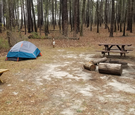 National Park «Congaree National Park», reviews and photos, 100 National Park Rd, Hopkins, SC 29061, USA