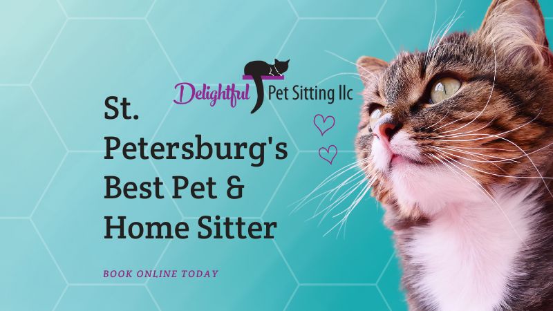 Delightful Pet Sitting LLC