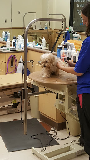 Pet Supply Store «PetSmart», reviews and photos, 1125 Quentin Rd, Lebanon, PA 17042, USA