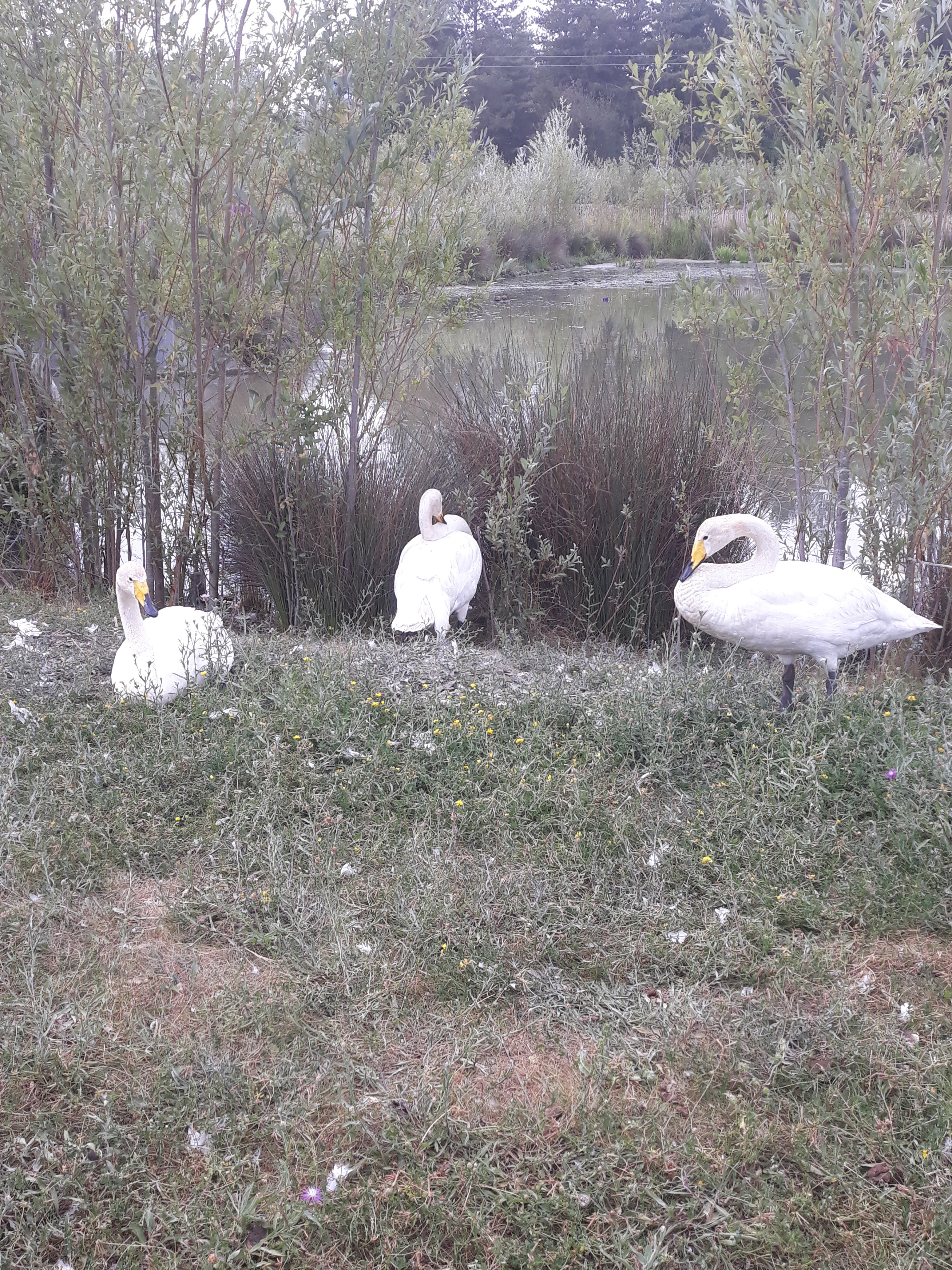 Photo n° 3 de l'avis de Aurore.* fait le 24/07/2020 à 17:48