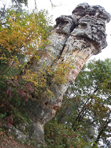 Nature Preserve «Chimney Rock Scientific and Natural Area (SNA)», reviews and photos, Joan Ave, Hastings, MN 55033, USA