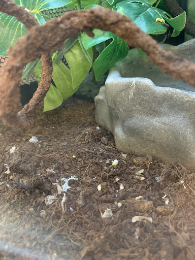 Pet Supply Store «Petco Animal Supplies», reviews and photos, 308 E Meighan Blvd, Gadsden, AL 35903, USA