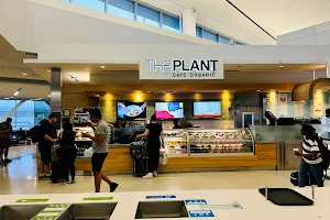 The Plant Café Organic image