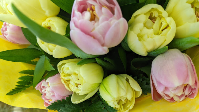 Reviews of Roses Florist in Birmingham - Florist