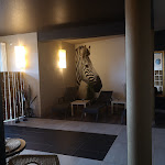 Photo n°18 de l'avis de Léopold.i fait le 01/01/2024 à 14:27 sur le  Esszimmer by MyPlace à Lautzenhausen