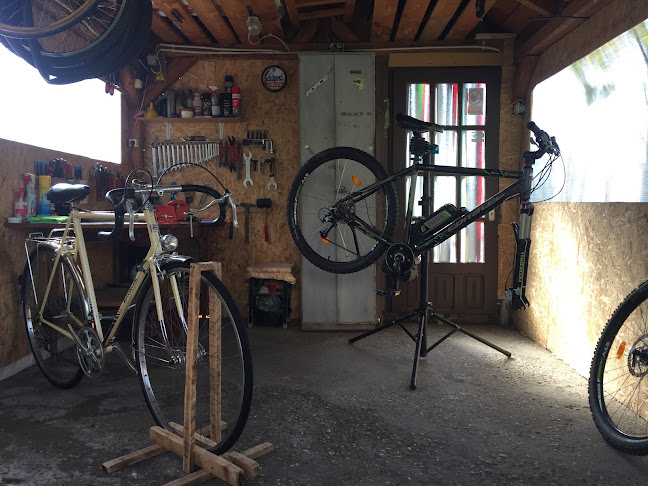 Opinii despre Tzam's Bicycle Garage în <nil> - Magazin de biciclete