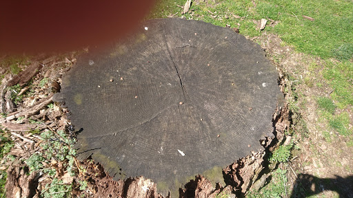 Golf Course «Kissena Park Golf Course», reviews and photos, 164-15 Booth Memorial Ave, Fresh Meadows, NY 11365, USA