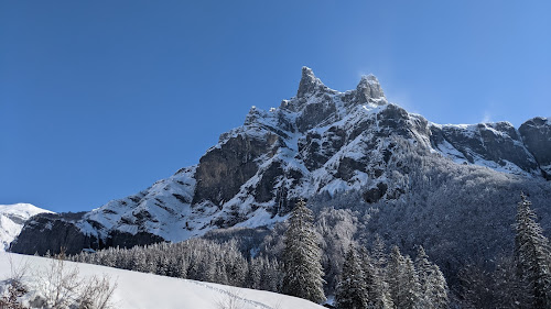 Corne du Chamois à Sixt-Fer-à-Cheval