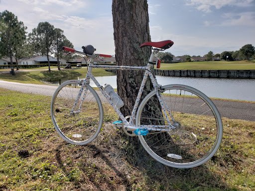 Bicycle Store «Just Ride Bicycles», reviews and photos, 13412 Boyette Rd, Riverview, FL 33569, USA