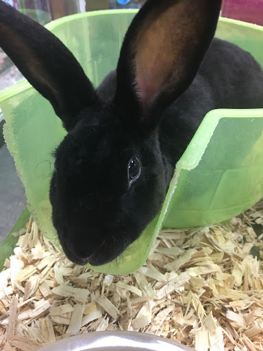 Pet Supply Store «Our Pet World», reviews and photos, 380 Semoran Commerce Pl, Apopka, FL 32703, USA