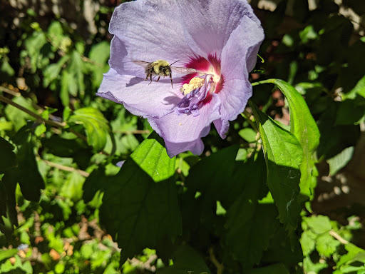 Art Museum «Cooper Hewitt Smithsonian Design Museum», reviews and photos, 2 E 91st St, New York, NY 10128, USA