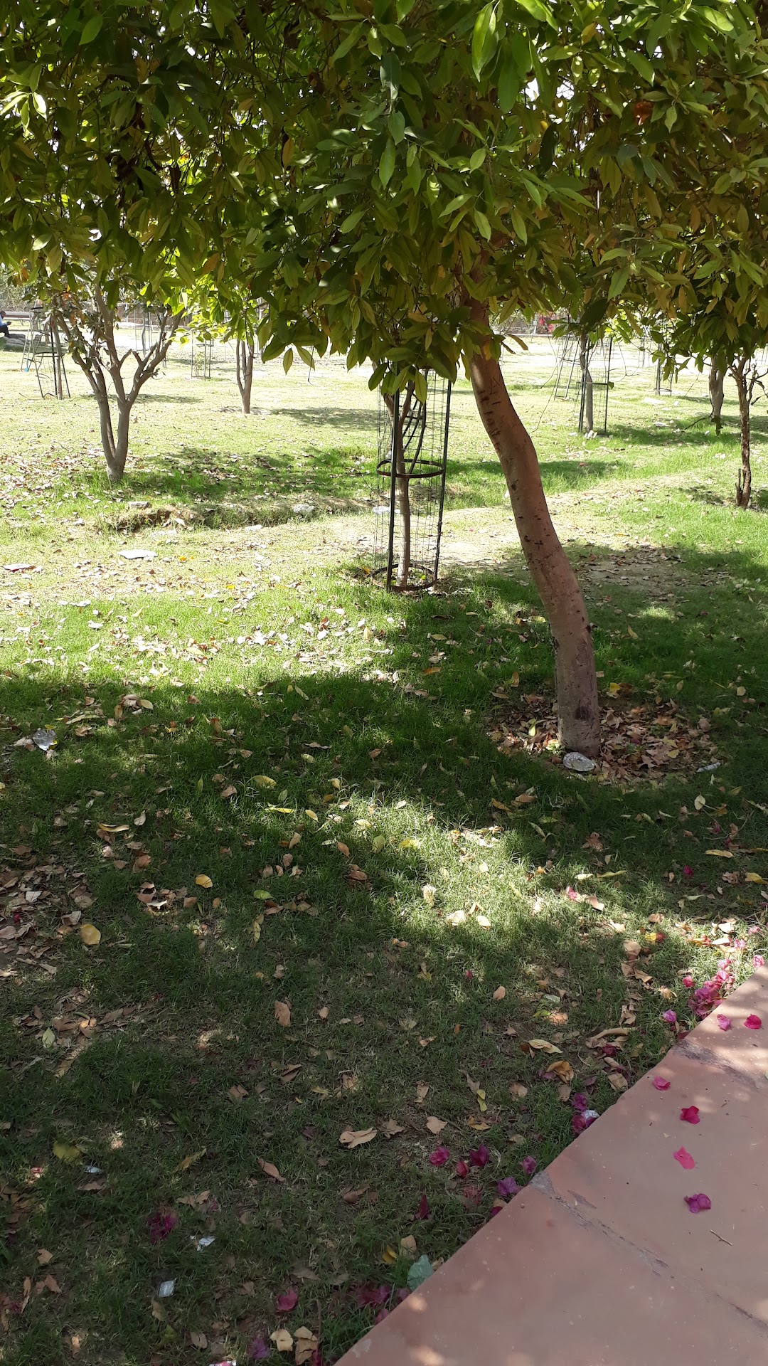 G Block Park