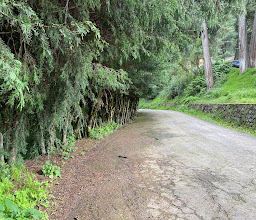 Lago de los Gansos - Desierto de los Leones photo