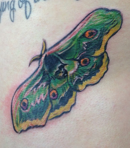 Tattoo Shop «Moth Studio», reviews and photos, 428 W Commercial St, Springfield, MO 65803, USA
