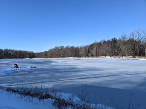 Nature Preserve «Reinstein Woods Nature Preserve», reviews and photos, 93 Honorine Dr, Depew, NY 14043, USA