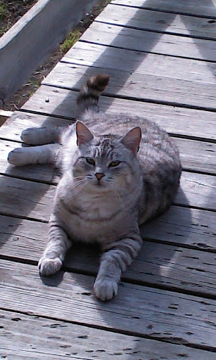 Park «Alcoa Park», reviews and photos, 80 Bishop Ave, Massena, NY 13662, USA