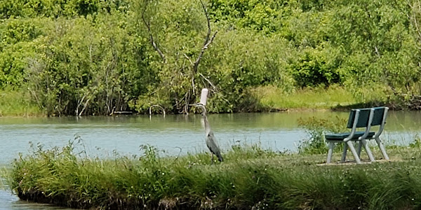 Maumee Bay State Park