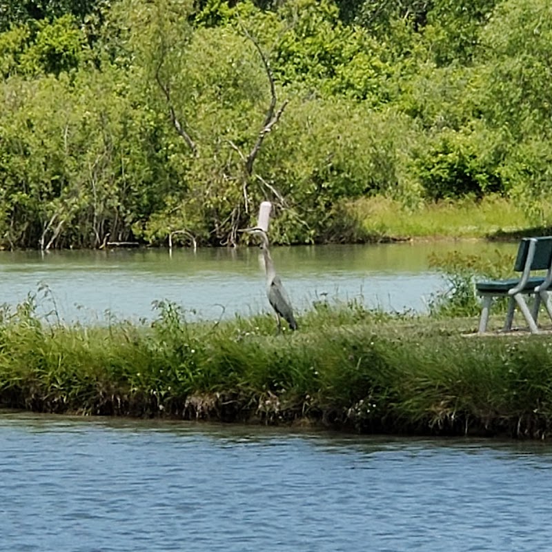 Maumee Bay State Park