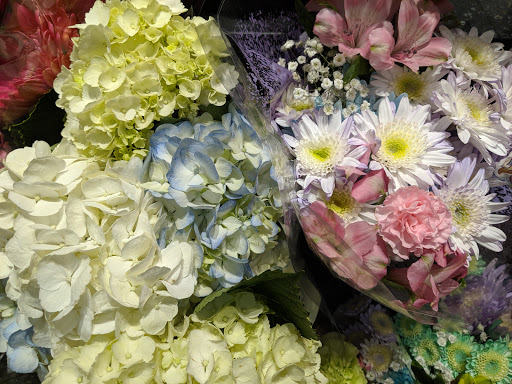 Grocery Store «Food Lion», reviews and photos, 46 Madison Plaza Dr, Madison, VA 22727, USA