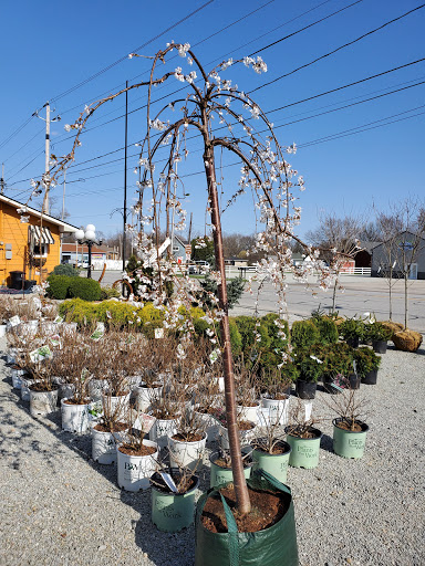 Garden Center «Salsbery Garden Center», reviews and photos, 6346 W Broadway, McCordsville, IN 46055, USA