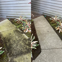 Aqua Duck Pressure Washing & Roof Cleaning - Photo 9 - Car repair in , Lakeland