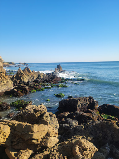 Tide Pools image