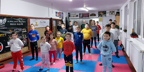 ALPHA MMA Academy Baia Mare - Bulevardul Decebal nr. 17, Baia Mare 430021, Romania