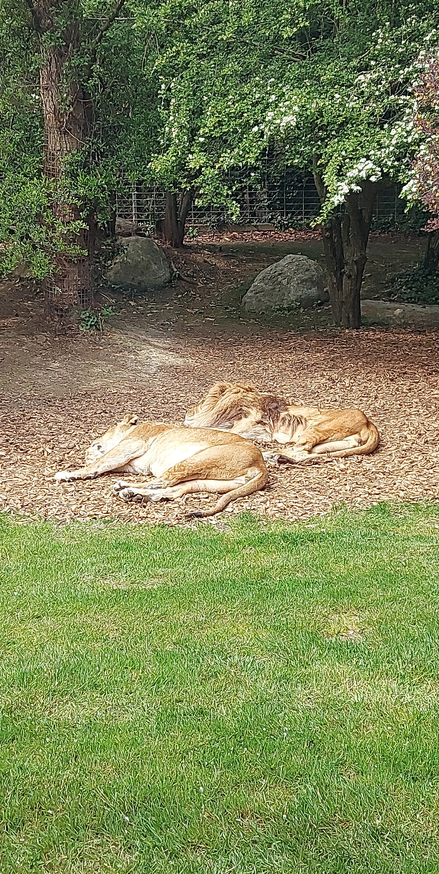 Photo n° 26 de l'avis de Mél.i fait le 21/04/2022 à 16:37