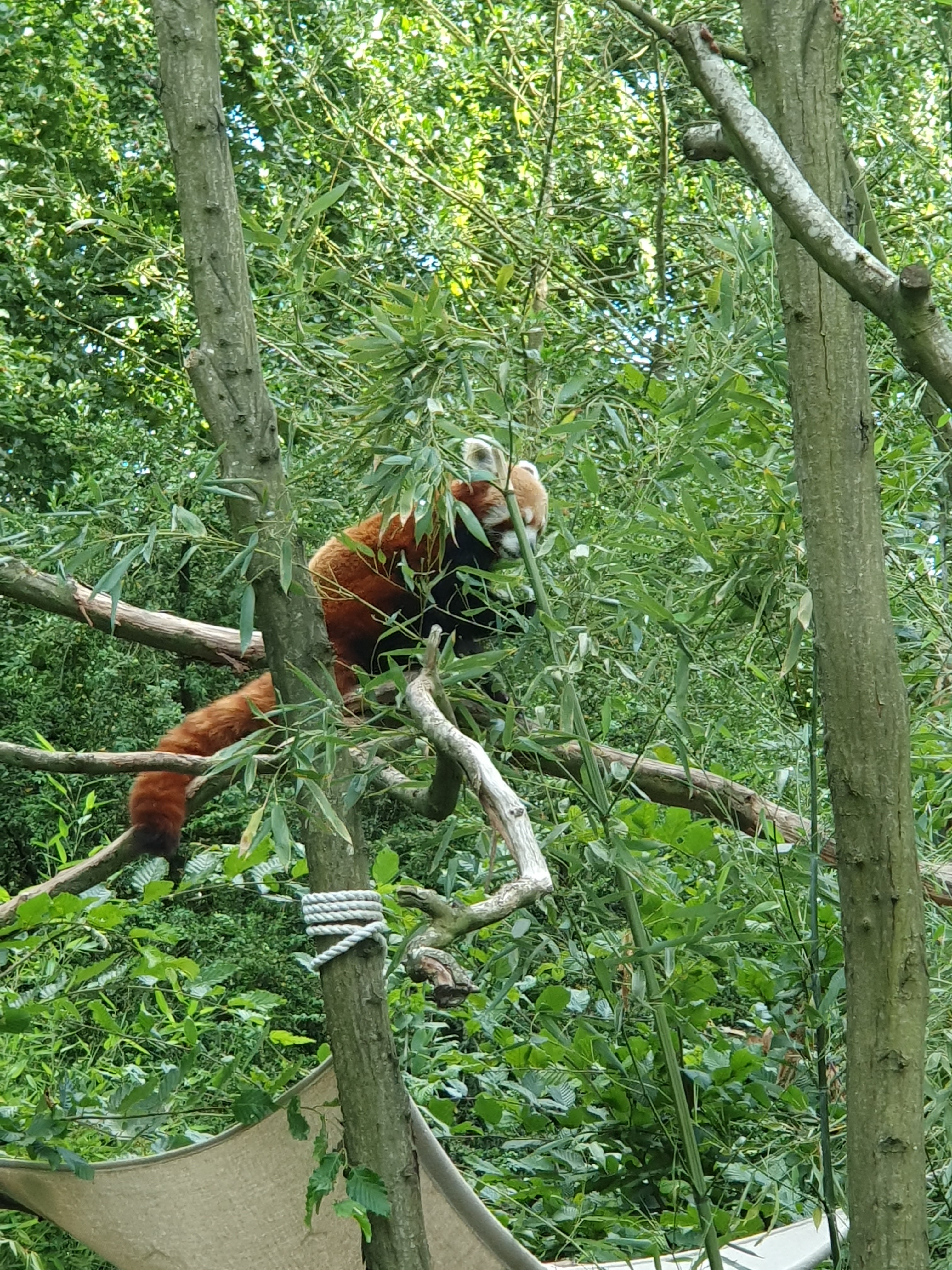 Photo n° 1 de l'avis de Thomas.e fait le 19/07/2023 à 16:56