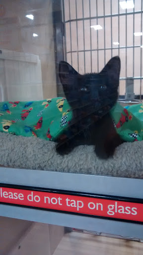 Pet Supply Store «PetSmart», reviews and photos, 4485 24th Ave, Fort Gratiot Twp, MI 48059, USA