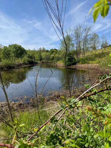 Park «Meadowbrook Park», reviews and photos, 5001 Meadowbrook Ln, Ellicott City, MD 21043, USA