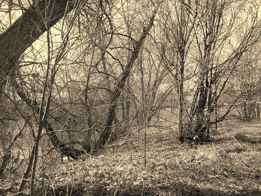 Park «Vanderbilt Park», reviews and photos, 855 S Platte River Dr, Denver, CO 80223, USA