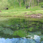 Photo n°10 de l'avis de Giuseppe.. fait le 24/09/2016 à 20:01 sur le  Parco del Grassano à San Salvatore Telesino