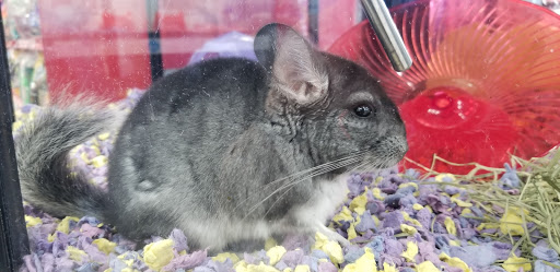 Pet Supply Store «Petco Animal Supplies», reviews and photos, 5151 Gosford Rd, Bakersfield, CA 93313, USA