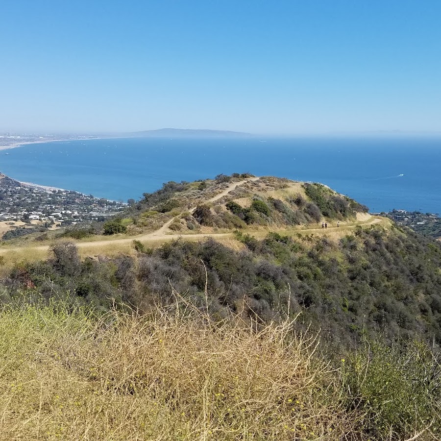 Topanga State Park