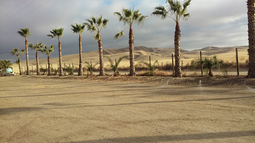 Orange Grove RV Park & Resort image