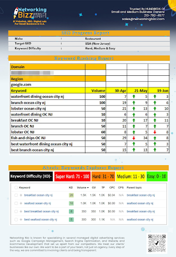 SEO Website Design Monrovia Networking Bizz image