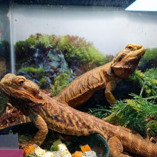 Pet Store «Pet Cove», reviews and photos, 820 E Center St, Kingsport, TN 37660, USA