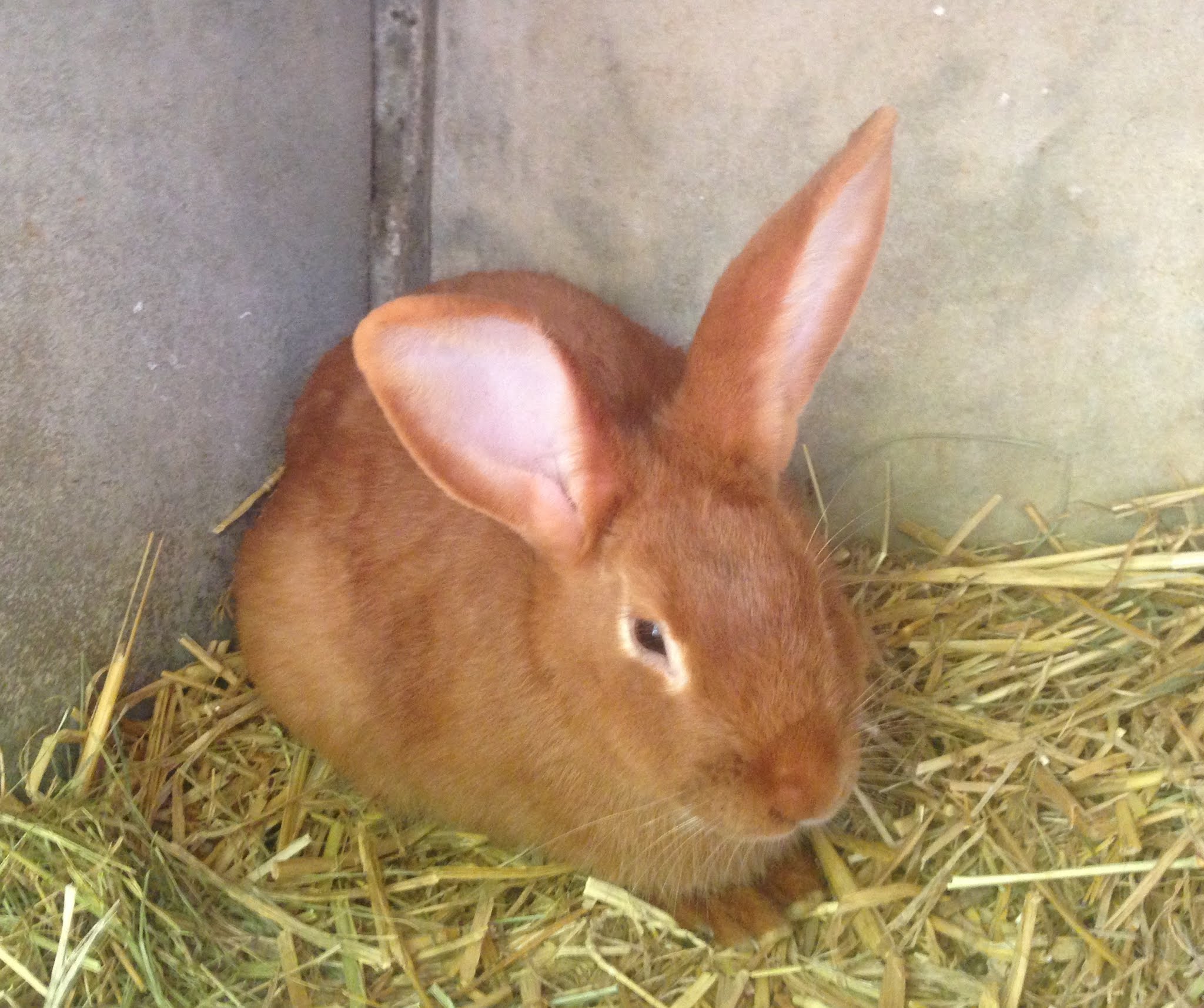 Photo n° 9 de l'avis de Izzie. fait le 26/07/2019 à 19:34