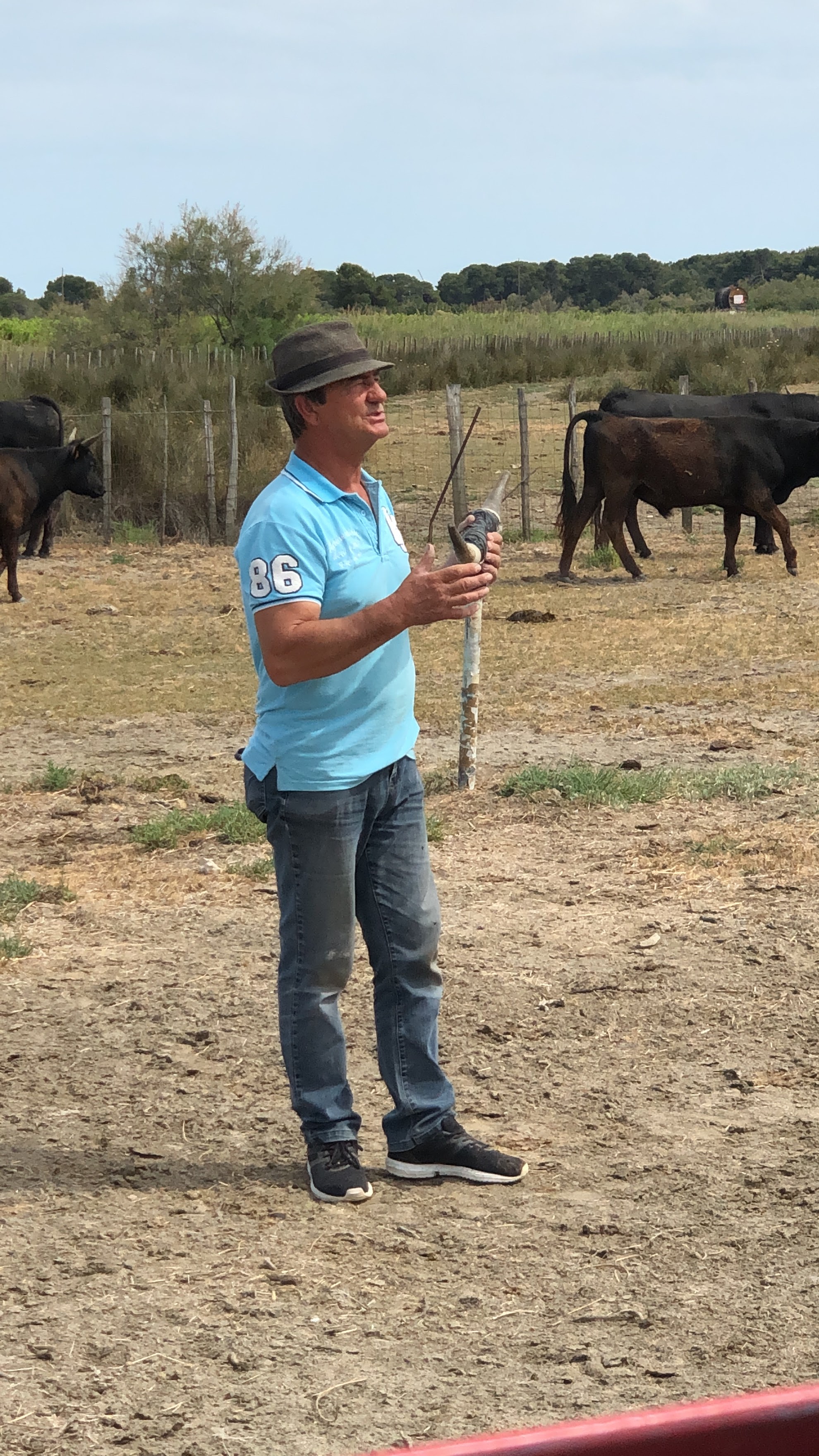 Photo n° 1 de l'avis de Foodie. fait le 16/07/2019 à 10:23