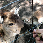 Photo n°1 de l'avis de Norman. fait le 02/05/2020 à 18:41 sur le  Hotel & Gaststätte Zur Wildtränke Spremberg/Lausitz à Spremberg