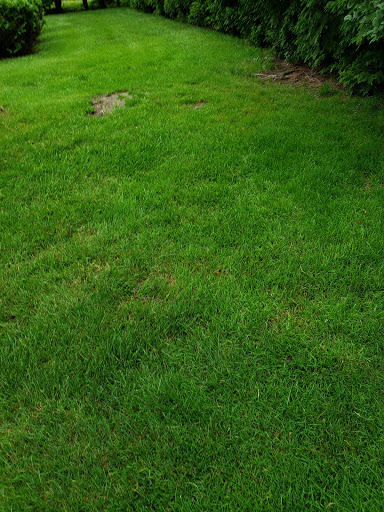 Preschool «The Goddard School», reviews and photos, 675 Miner Rd, Highland Heights, OH 44143, USA