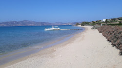 Voutakos beach'in fotoğrafı vahşi alan