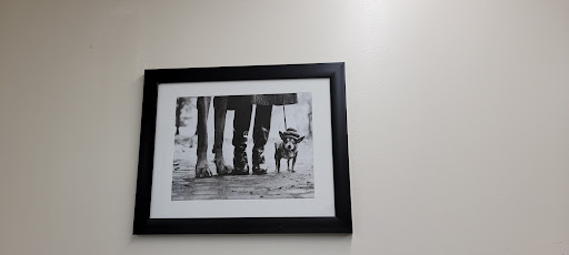 Animal Hospital «Blue Cross Pet Hospital», reviews and photos