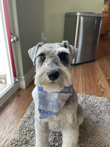 Pet Supply Store «Republic of Paws», reviews and photos, 2411 W Colorado Ave, Colorado Springs, CO 80904, USA