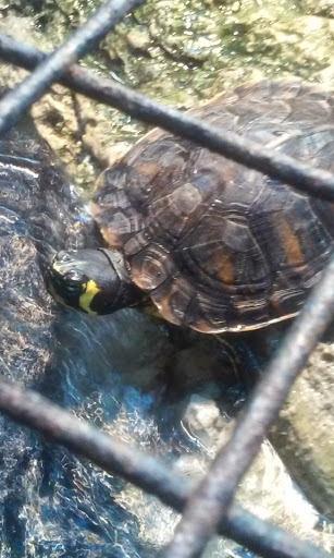 Pet Supply Store «Petco Animal Supplies», reviews and photos, 205 Palm Bay Rd NE #155, West Melbourne, FL 32904, USA